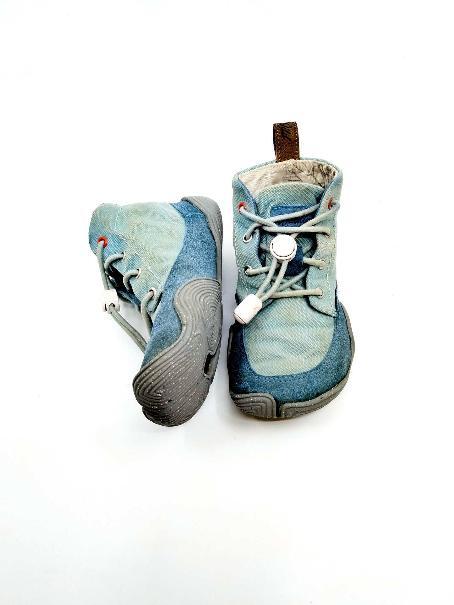 Wildling Pegasus - Koko: 25