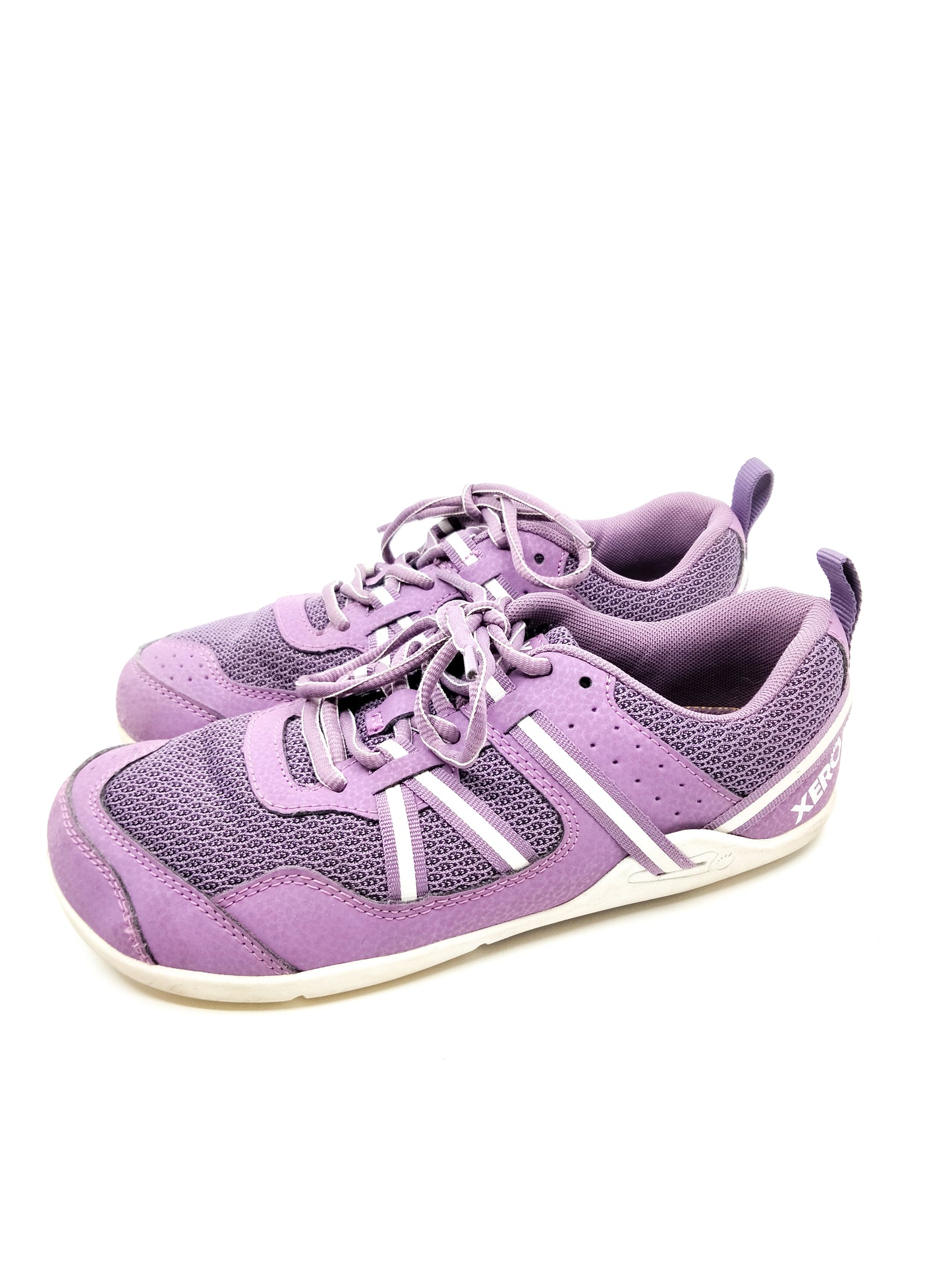Xero Prio - Koko: 37,5